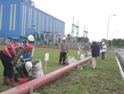 PLN UIP Sulawesi dan Kelompok Pecinta Alam Tanam 465 Pohon di Bolmut untuk Mitigasi Perubahan Iklim